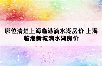 哪位清楚上海临港滴水湖房价 上海临港新城滴水湖房价